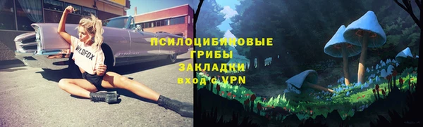 мет Аркадак