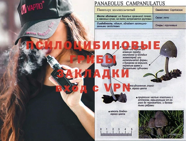 молекула духа Армянск