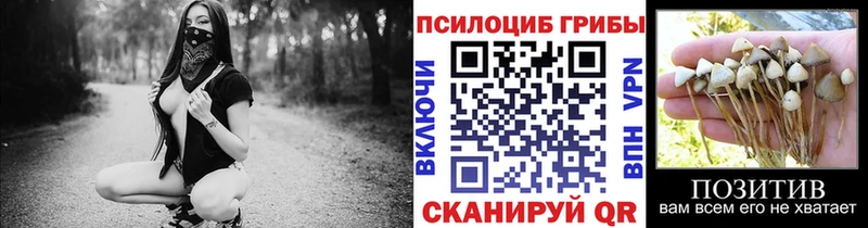 Псилоцибиновые грибы GOLDEN TEACHER  наркотики  Баймак 
